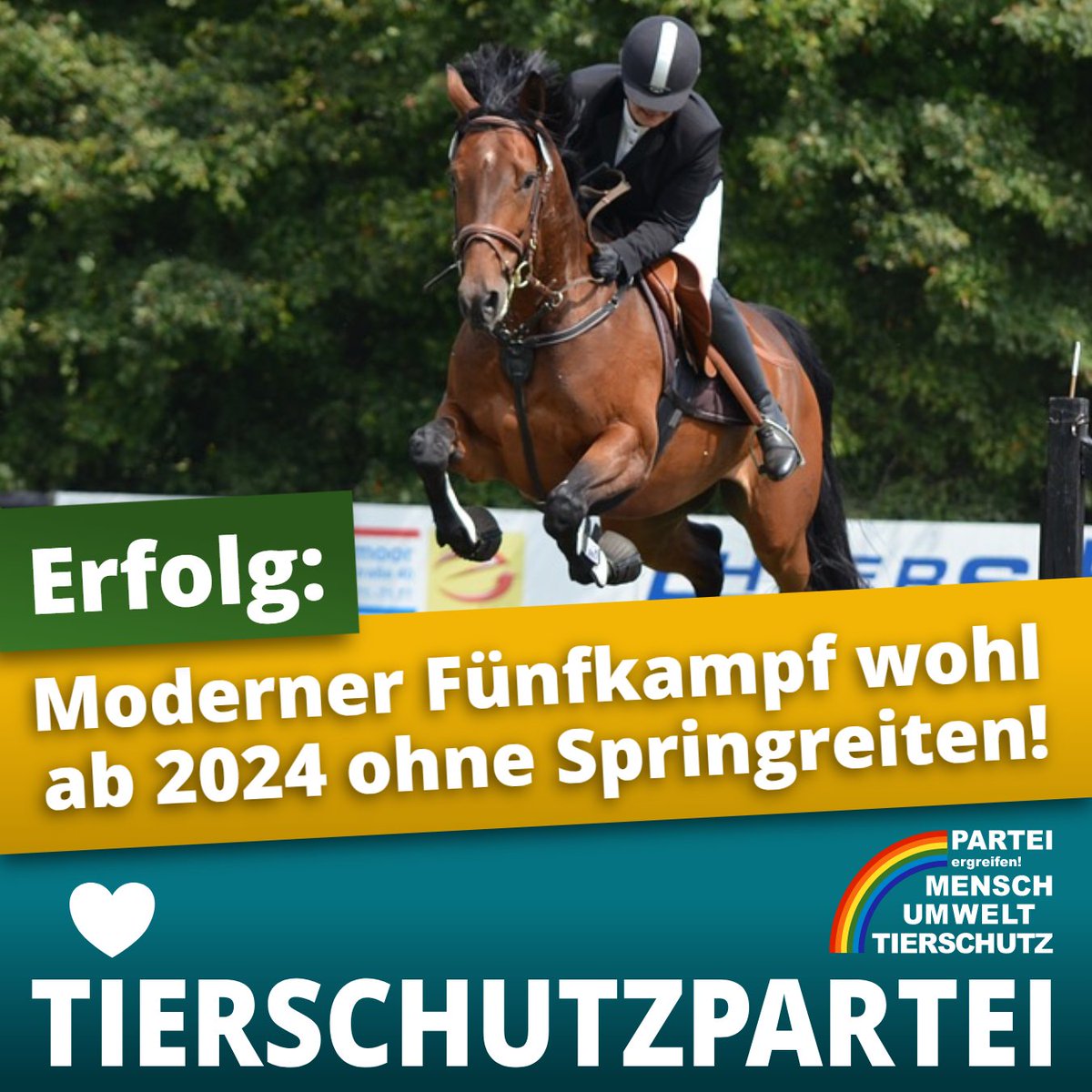 Tierschutzparte's tweet photo. Tolle News: Moderner #Fünfkampf ab 2024 wohl ohne #Springreiten!

Unser Statement: https://t.co/RCPlklEIJB

Damaliges Statement zu der Misshandlung von #SaintBoy in #Tokio: https://t.co/EULC5yT62H

#Schleu #Reiten #Reitsport #Tierquälerei #Raisner https://t.co/gqToxkGl35