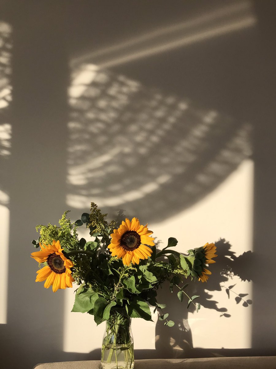 basbezir's tweet photo. Kızım okulda ayçiçeği yapmış. Gerçekte böyle bir çiçek var mı diye sordu :) Ona ilk defa çiçek aldım. Canlı capcanlı 🌻 https://t.co/vrEzZYnCS5