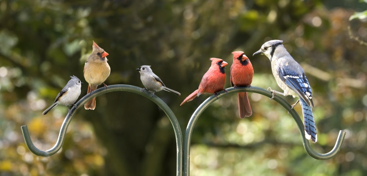 'Researchers, universities, and policymakers all have a role to play in breaking down silos and fostering conversations that can support more diverse and just futures for life on Earth’ argues a new blog post from some of our researchers: bit.ly/3bF5Z8C