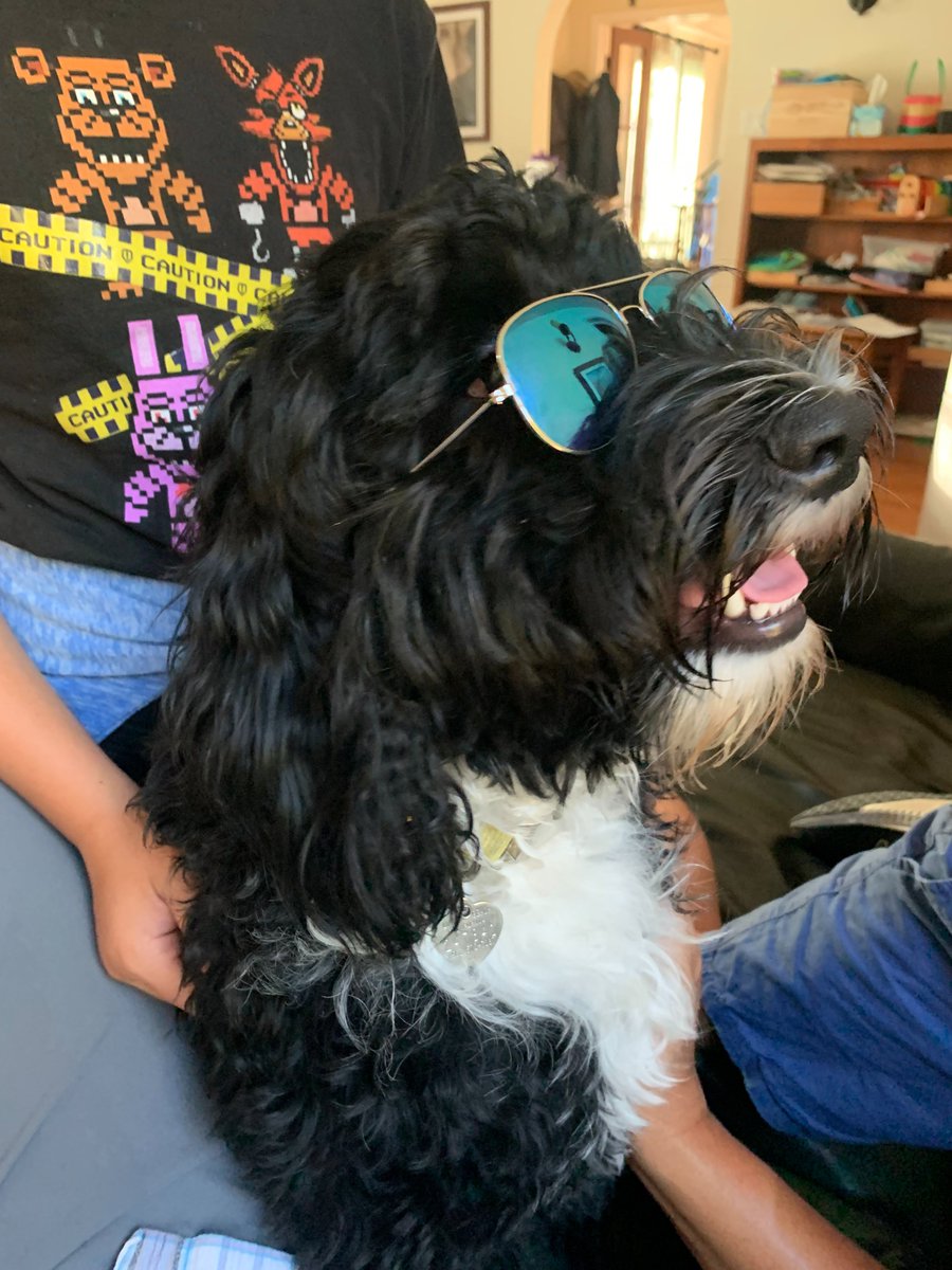 ContinuemC's tweet photo. Happy #WoofWednesday! Meet Fergus, Dr. Sotelo's hip lil pup 🐾 https://t.co/USfSoLBLGf