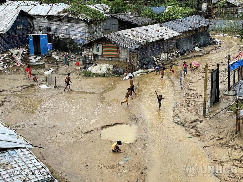 UNHCR, the UN Refugee Agency tweet media