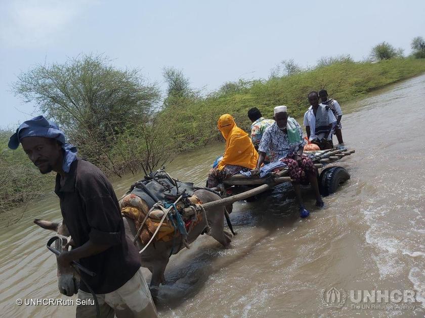 UNHCR, the UN Refugee Agency tweet media