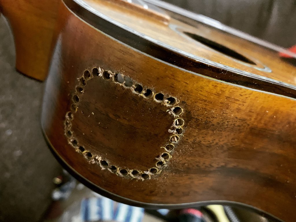 mrmaiukulele's tweet photo. Pickup installing #ukuleleonline #ukuleleshop #ukulelestore #Allsolidmahogany #Mrmaiukulele #ukulele #ukuleletutorial #ukulelelessons #ukulelecover #ukuleles #ukulelelove
#ukuleleplayer #ukulelelife #ukulelesongs #ukuleletime
#ukulelelover #Ukulélé #우쿨렐레 #ウクレレ
#music https://t.co/AZqMYqQJUb