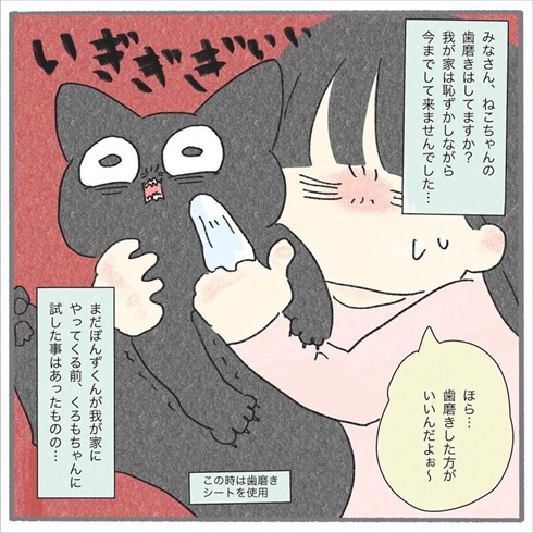 猫の歯みがき、嫌がらずにできるの!? 健康のために挑戦→予想外の結果に「うちの子天才!?」とホッとした飼い主の漫画 https://t.co/Xc7hsDWjya @itm_nlabより 
