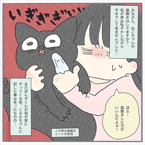 猫の歯みがき、嫌がらずにできるの!? 健康のために挑戦→予想外の結果に「うちの子天才!?」とホッとした飼い主の漫画 https://t.co/Xc7hsDWjya @itm_nlabより 