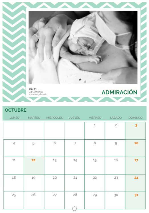 ApremdeT's tweet photo. Dejamos atrás #Octubre y con el la imagen de la admiración por Kalel que llegó al mundo con apenas 24 semanas. Su coraje y fuerza son todo un ejemplo de vida #calendarioApremdeToledo https://t.co/WDfakcab3r