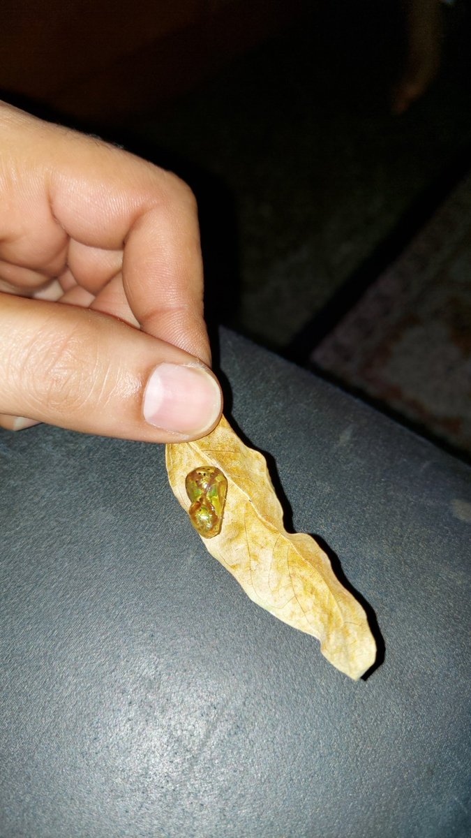 ananbee tweet picture