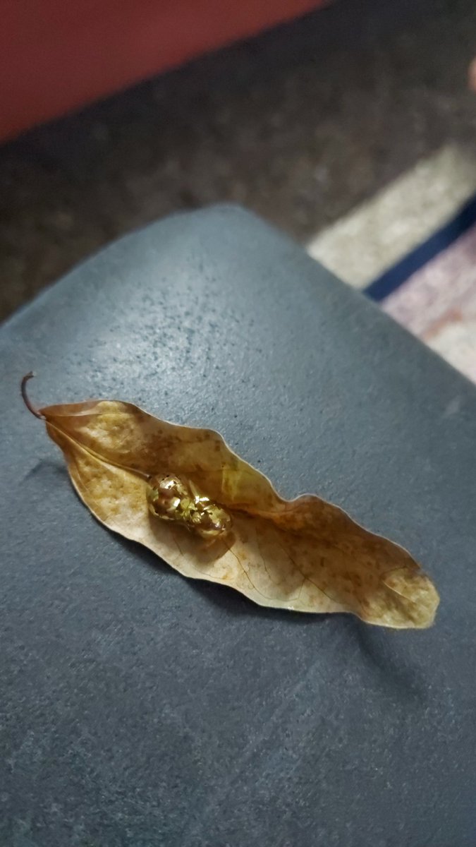 ananbee tweet picture