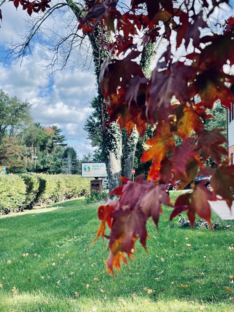 QFS_Solutions's tweet photo. It's a beautiful fall day at the QFS offices in Cherry Hill, NJ! https://t.co/dnJjwCShqT