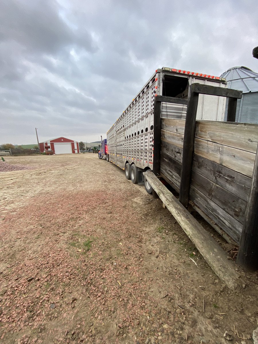 nordhues_mason's tweet image. The last of em… for now #fallrun