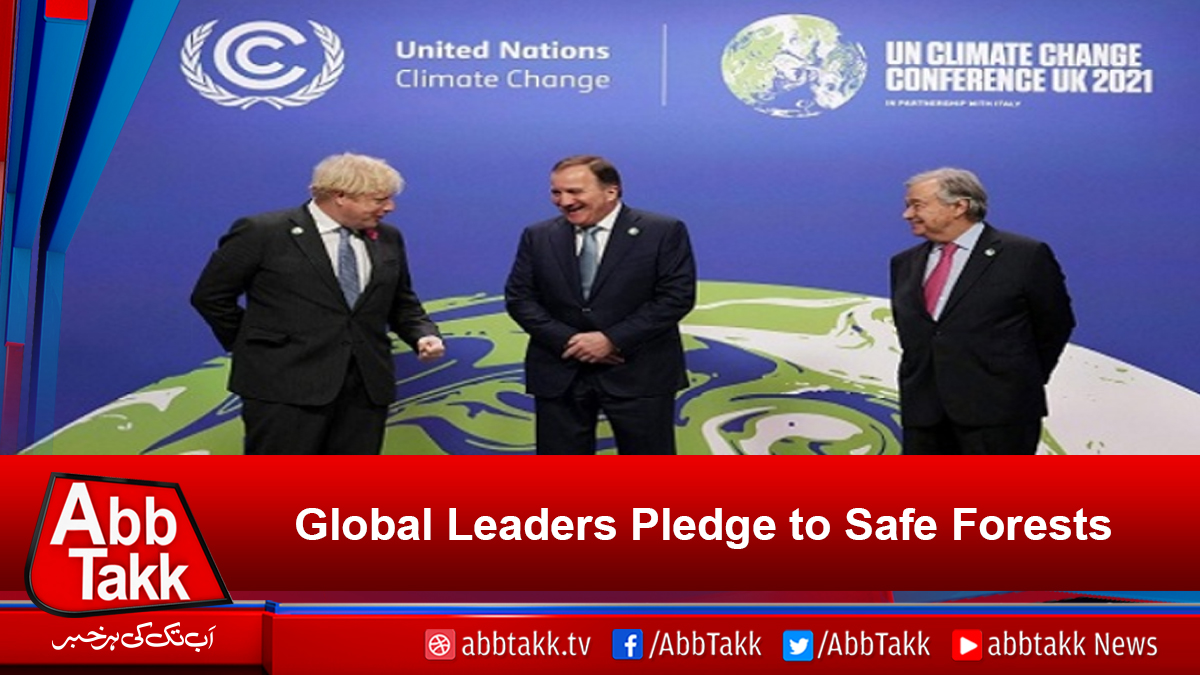 AbbTakk's tweet photo. https://t.co/jSXk0wXz6h
#SafeForests https://t.co/ERIgUlCF5m