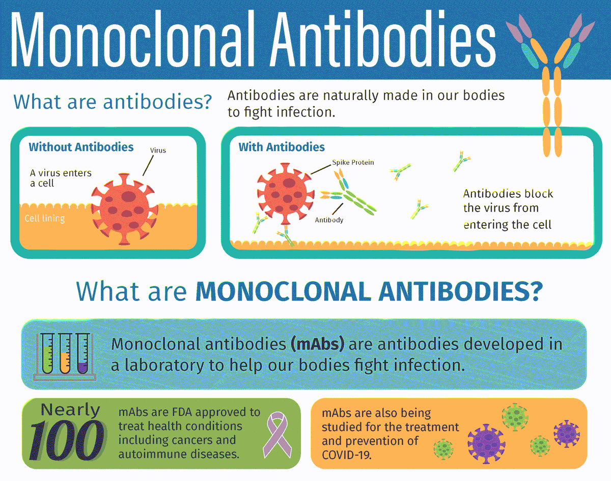 hands_lucie's tweet photo. MONOCLONAL ANTIBODY THERAPY

The treatments are now being given at the SLC Fairgrounds. If you are sick and test positive for COVID, be sure to call and get treatment early.

https://t.co/NjxHAxxm6E.

#nonprofit #handsofslc #fortpierce #stluciecounty#VIM https://t.co/LzfF2NpiNH