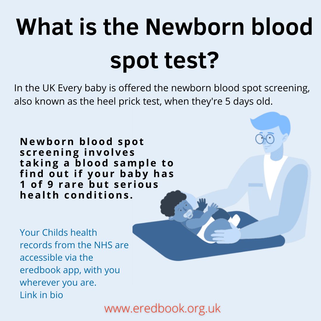 eRedbook tweet media