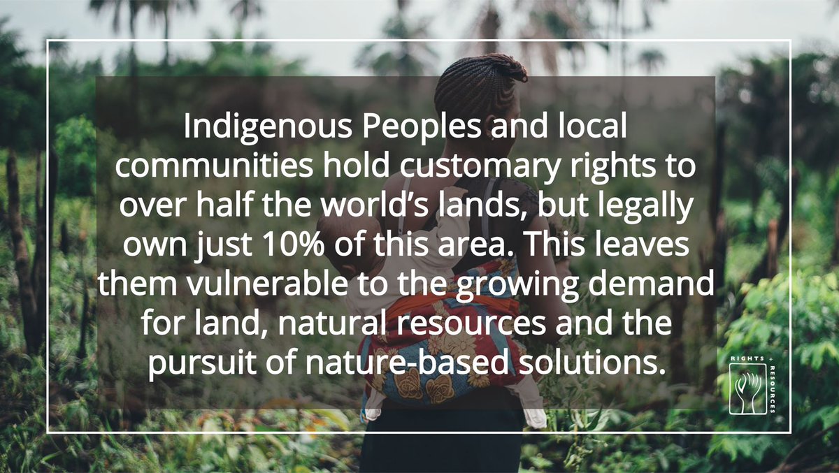 'This report shows that investing in #IndigenousPeoples’ and local communities’ land and resource rights should be a primary strategy for reaching global #biodiversity targets.” (@Brian_ODonnell, #CampaignForNature)

@RightsResources report: bit.ly/3nk2iL1