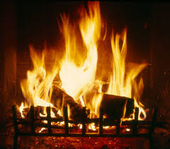 bumbletweets's tweet photo. We're looking forward to curling up in front of the fire
and having lots of cat dreams.
Meow for now. https://t.co/hC5TQJ48pJ