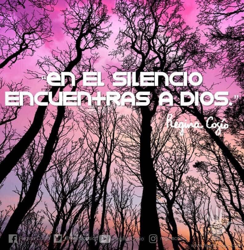 reginacosio's tweet photo. Hoy, te sugiero recordar que en el silencio tienes la oportunidad de reconocer tu esencia santa. #Silencio #Practicalo #EducacionDeLaConciencia #Espiritualidad #ReginaCosio https://t.co/SVlKlUEZYb