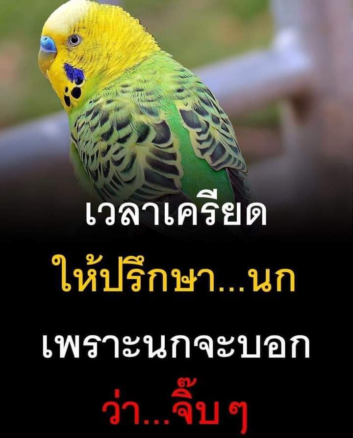 neeja0804's tweet image. อย่าเครียดจ้าาา
ขอบคุณเจ้าของการ์ด
#ข้อคิด #กำลังใจ