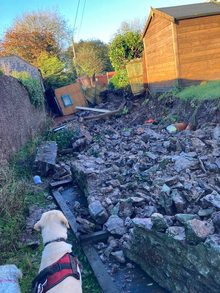 marymorrish tweet media