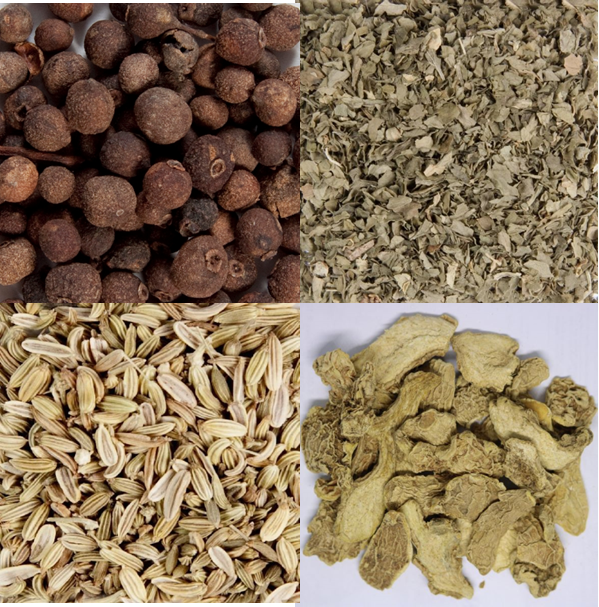 Splendor Garden tweet media