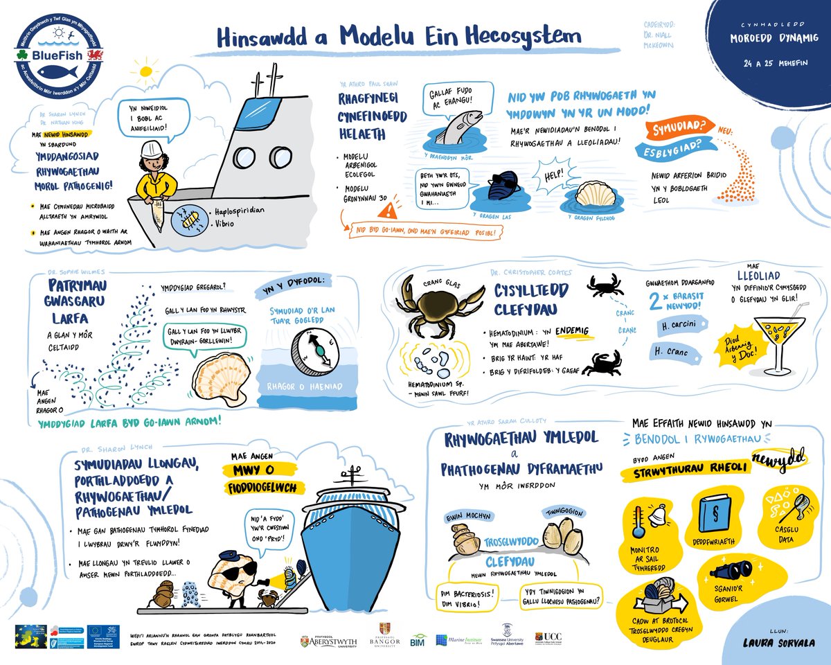 BlueFish_EU's tweet image. Hinsawdd a Modelu Ein Hecosystem - helpu i lywio polisi 🌐#diseaseconnectivity #invasivespecies #nichemodelling
#COP26 
#ClimateChange
#EUIrelandWales