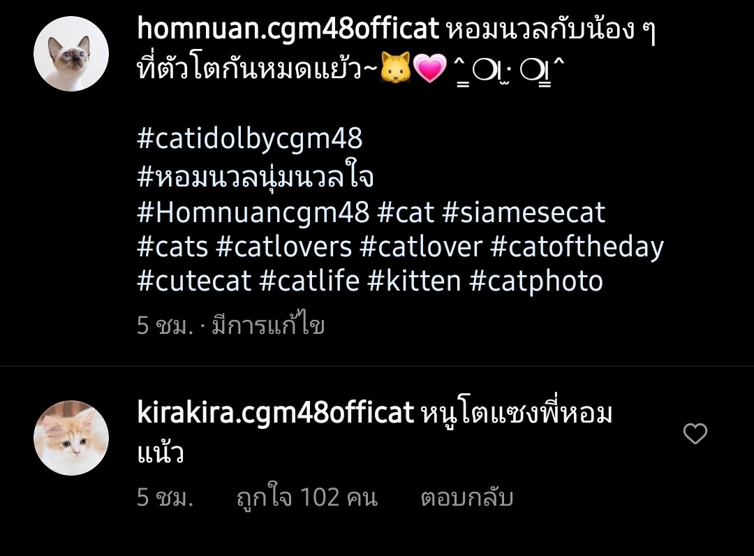 Penguin_CGM48's tweet photo. #HomnuanCGM48​ IG post

"Homnuan with younger siblings who are now huge~"

#KiraKiraCGM48​ commented "I outgrown P'Hom now~"

#CatIdolbyCGM48 https://t.co/jQ1BgEIZTZ