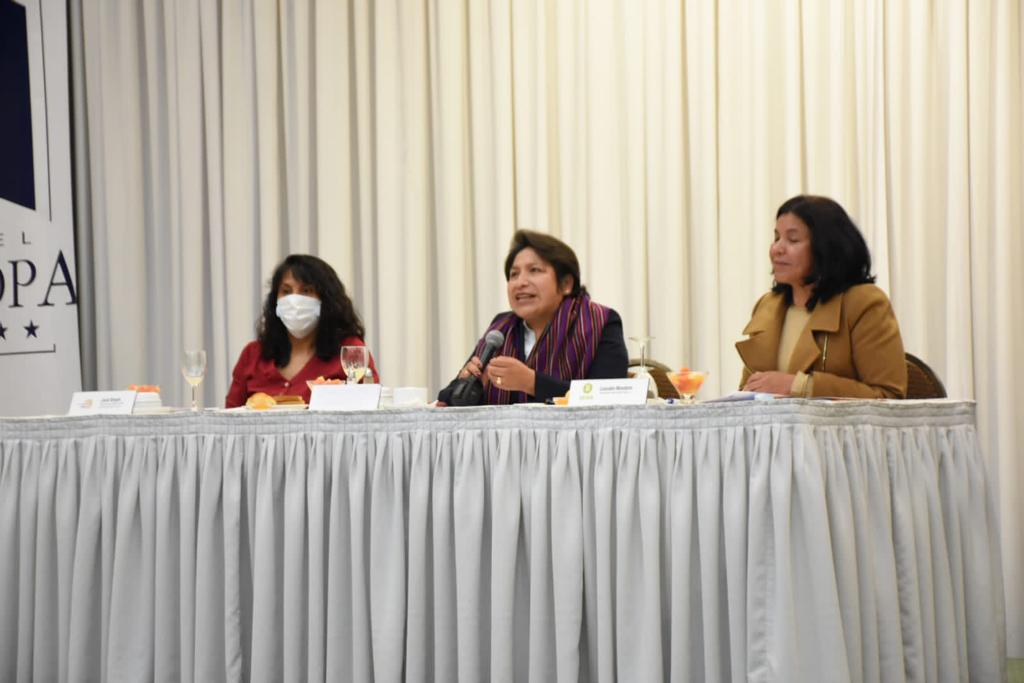 TSEBolivia's tweet photo. Vocal del @TSEBolivia Dina Chuquimia participa de la campaña: "Cuelga los cachos de macho. Paridad sin peros", organizado por la Coordinadora de la Mujer, Oxfam y el Centro de Estudios Superiores Universitarios (CESU) de la Universidad Mayor de San Simón. https://t.co/ZKa1S9e6uS
