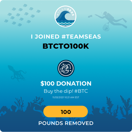 longtradebtc's tweet photo. #BTCto100k #TeamSeas https://t.co/qDIhutrmW7