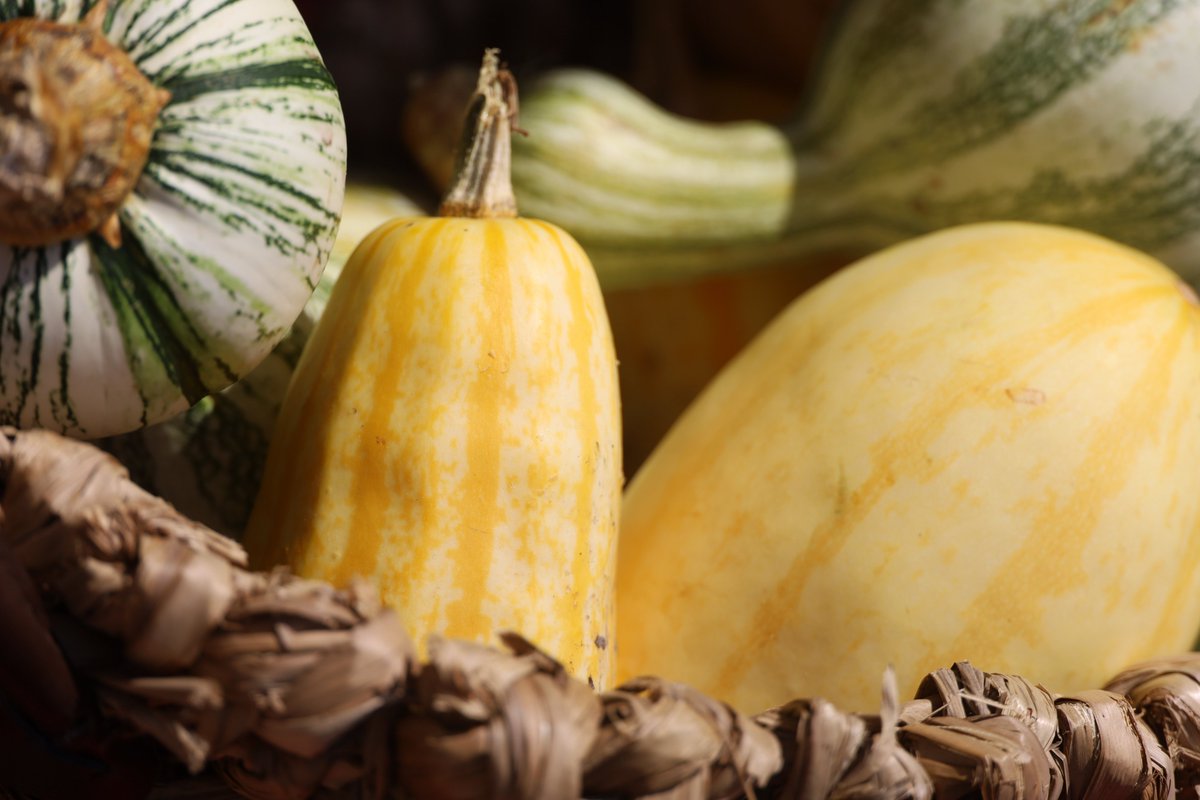 #Farmersmarket is TODAY! 5-8PM at the <a href="/ArtCenterCC/">Art Center of CC Tx</a>. Sailing, composting, 3 food trucks &amp; a wonderful farmers' market! Updates in our newsletter: mailchi.mp/growlocalstx/n… #localfood #shopsmall #shoplocal