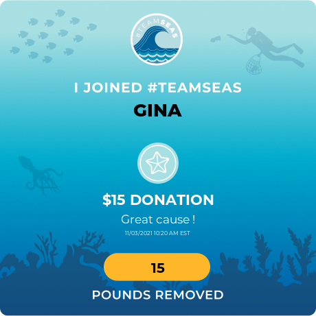ginabstk's tweet photo. What a great cause ! @teamseas #TeamSeas 
Just 1$ removes 1 pound of trash from the ocean! https://t.co/gool3GftuA