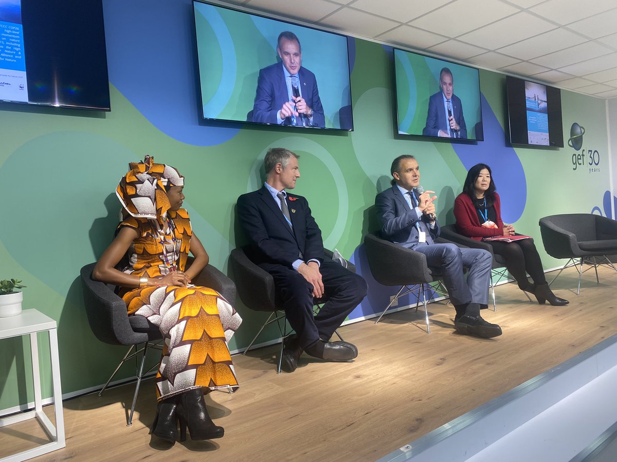 Karolina Telejko tweet media