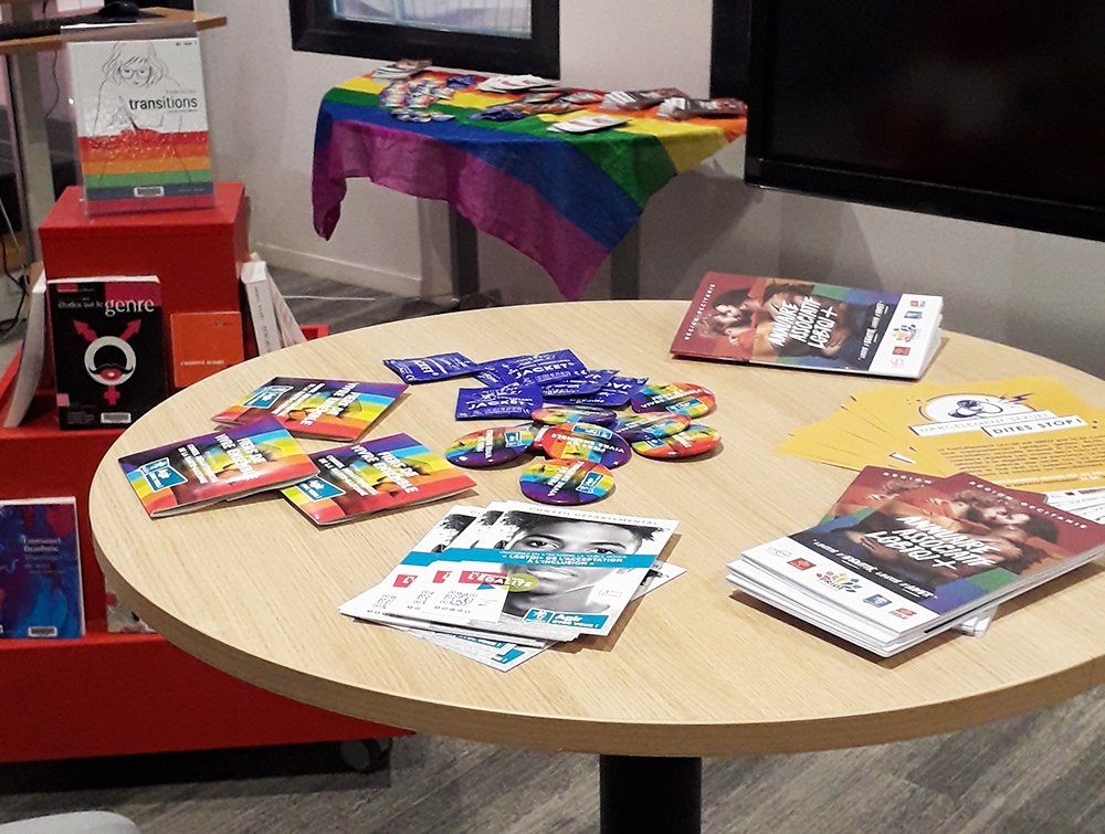[Biblio] Une rencontre avec la mission Égalité UT2J et <a href="/PrideToulouse/">PRIDE Toulouse</a> est prévue autour de l’exposition "Droits humains et minorités".
En attendant, découvrez à la #BUCut2j une sélection de 📚 sur la lutte contre les discriminations de sexe et de genre 🌈 
tiny.cc/DHetMS