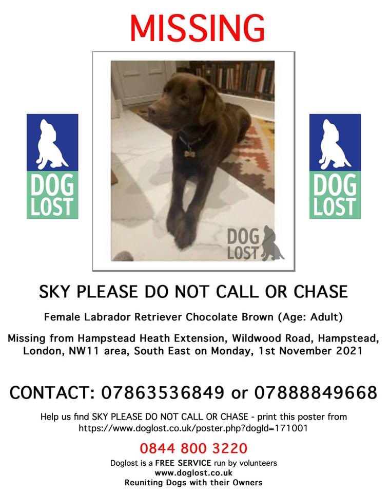 SKY * #MISSING
#HAMPSTEAD HEATH EXTENSION
#LONDON NW11

Disappeared whilst being walked by neighbours on November 1st  

Harness and lead on 

• Have you seen her?
• Is she caught up somewhere?
• Has someone found her?
• Has she been taken/stolen?

doglost.co.uk/dog-blog.php?d…