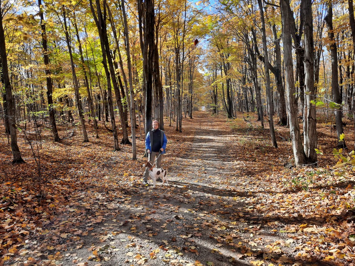 Prof. Maren Oelbermann tweet media