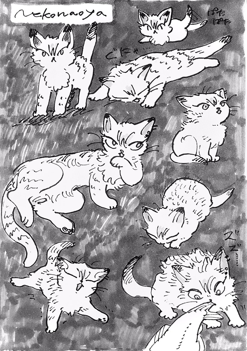 ナオヤねこの幻覚 (獣化) 