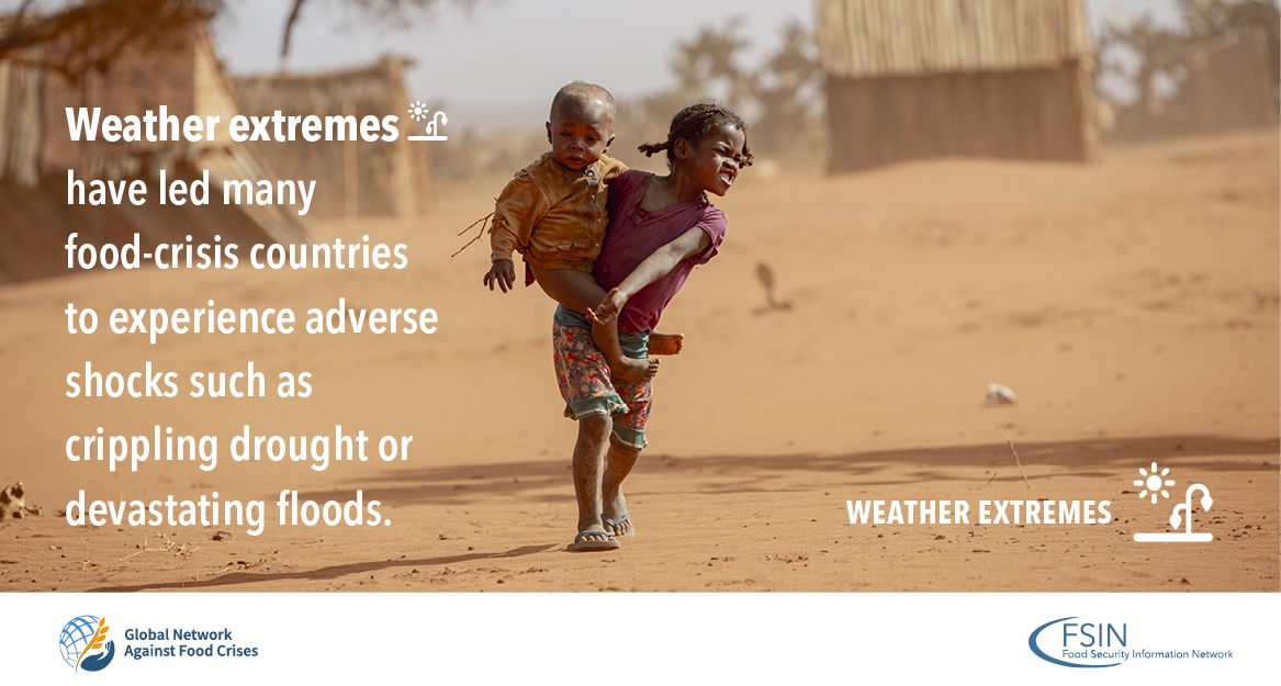 IFPRI_FSP's tweet photo. Parts of central and southern East #Africa faced #drought conditions (Ethiopia, Kenya Somalia &amp; Uganda) while above-avg rainfall led to flooding across Sudan, Ethiopia &amp; South Sudan. Both these weather extremes drove food insecurity in mid-2021

👉 https://t.co/ppXxne3z8R https://t.co/CIshscd5uJ
