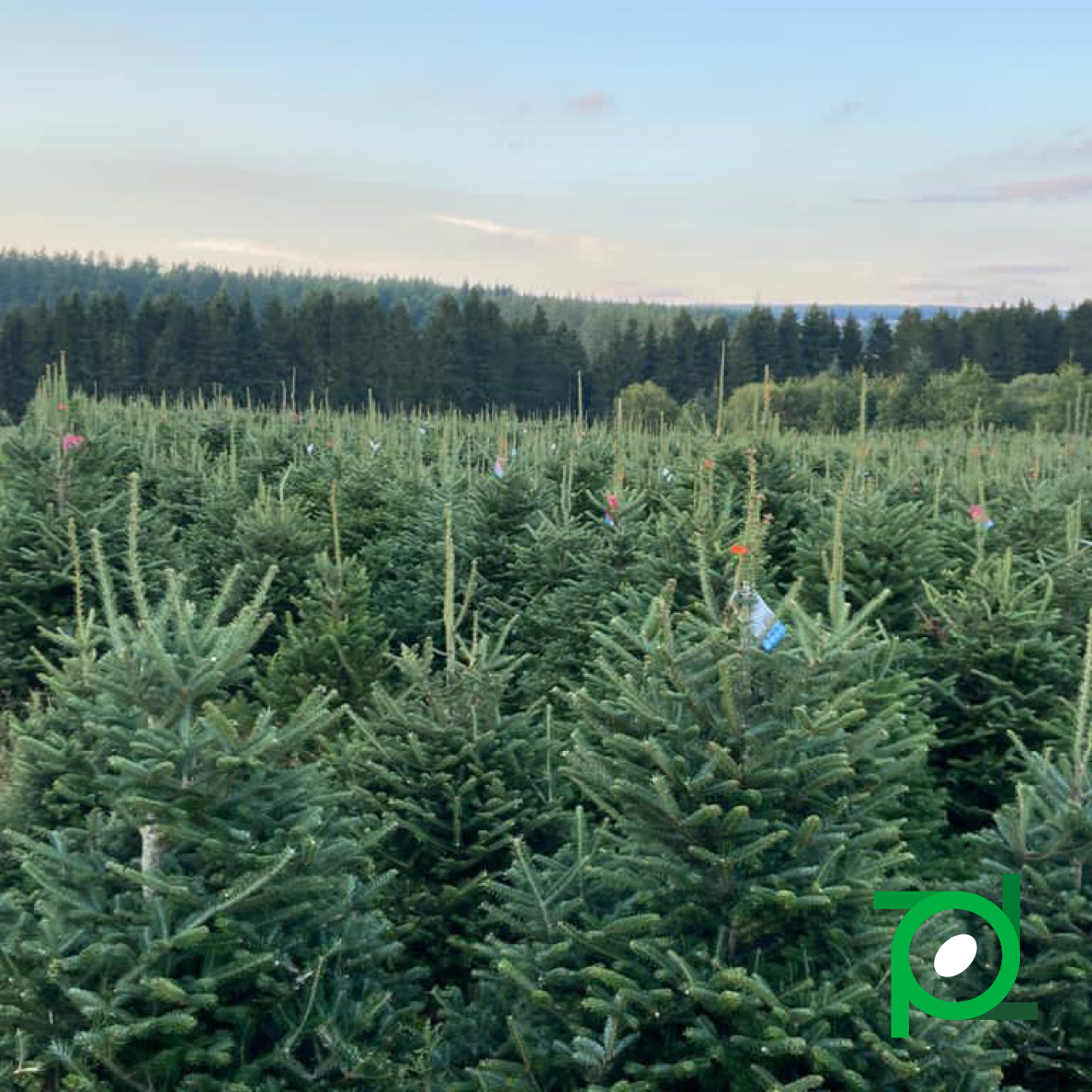 K Sports Hockey tweet media