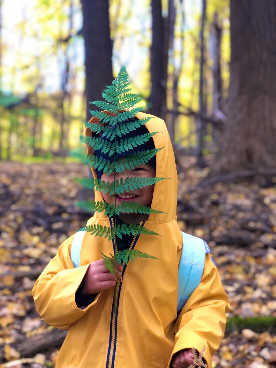 fern_way's tweet photo. just two little #pteridologists taking a stroll in the forest #ithaca #ferns https://t.co/d2U7cOJTVK