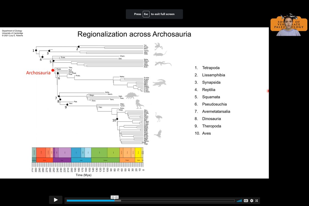 LucyRoberts_NHM's tweet photo. Hey everyone, I welcome you all to take a look at my presentation in the Macroecology &amp; Macroevolution session at #2021SVP!

Come find out how archosaur axial skeletons are regionalized, including, among many others, the one and only T. rex 🦖🦜🐊🦕💚

https://t.co/aQpezTFZt8 https://t.co/AB6d7LTMrj