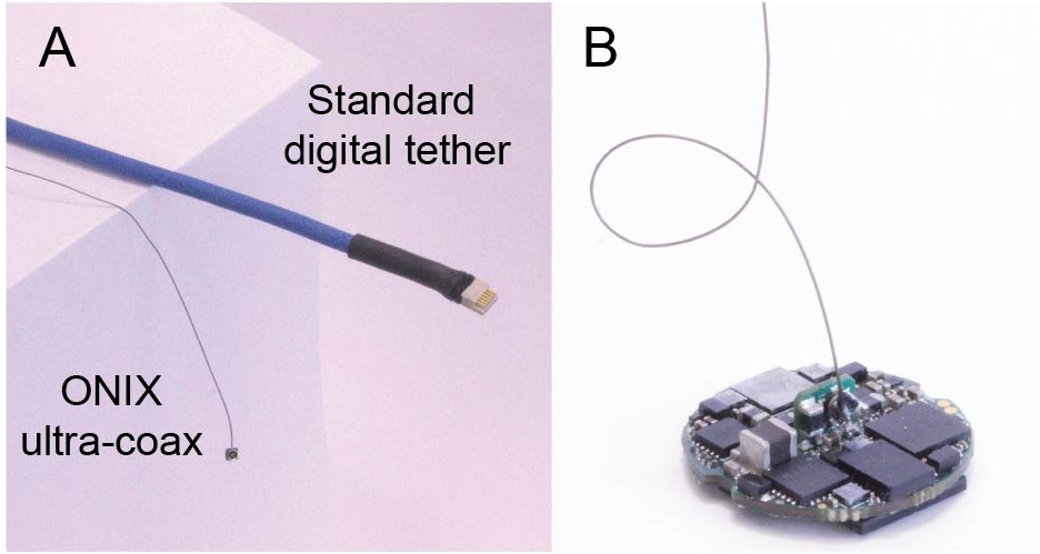 Tutorial on making micro-coax tethers for <a href="/MiniscopeTeam/">Miniscope Team</a> miniscopes and next-generation 
<a href="/OpenEphys/">Open Ephys https://bsky.app/profile/openephys.bsky</a> headstages: open-ephys.github.io/onix-docs/Hard…. These tethers are becoming a de facto standard for modern headstages and miniscopes because they are tiny and easy to replace!