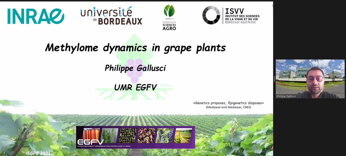 A main contribution of <a href="/UMREGFV/">inrae_egfv</a> regarding epigenetic regulation in grapes, from <a href="/Margot_MJBerger/">Margot MJ Berger</a> Ph-D and Philippe Gallusci <a href="/ISGPB20213/">ISGPB2021</a> <a href="/isvv_bordeaux/">ISVV - Institut des Sciences de la Vigne et du Vin</a> <a href="/INRAE_NA_BDX/">INRAE Nouvelle-Aquitaine Bordeaux</a> <a href="/INRAE_DPT_BAP/">INRAE Département BAP</a> <a href="/univbordeaux/">Université de Bordeaux</a>
