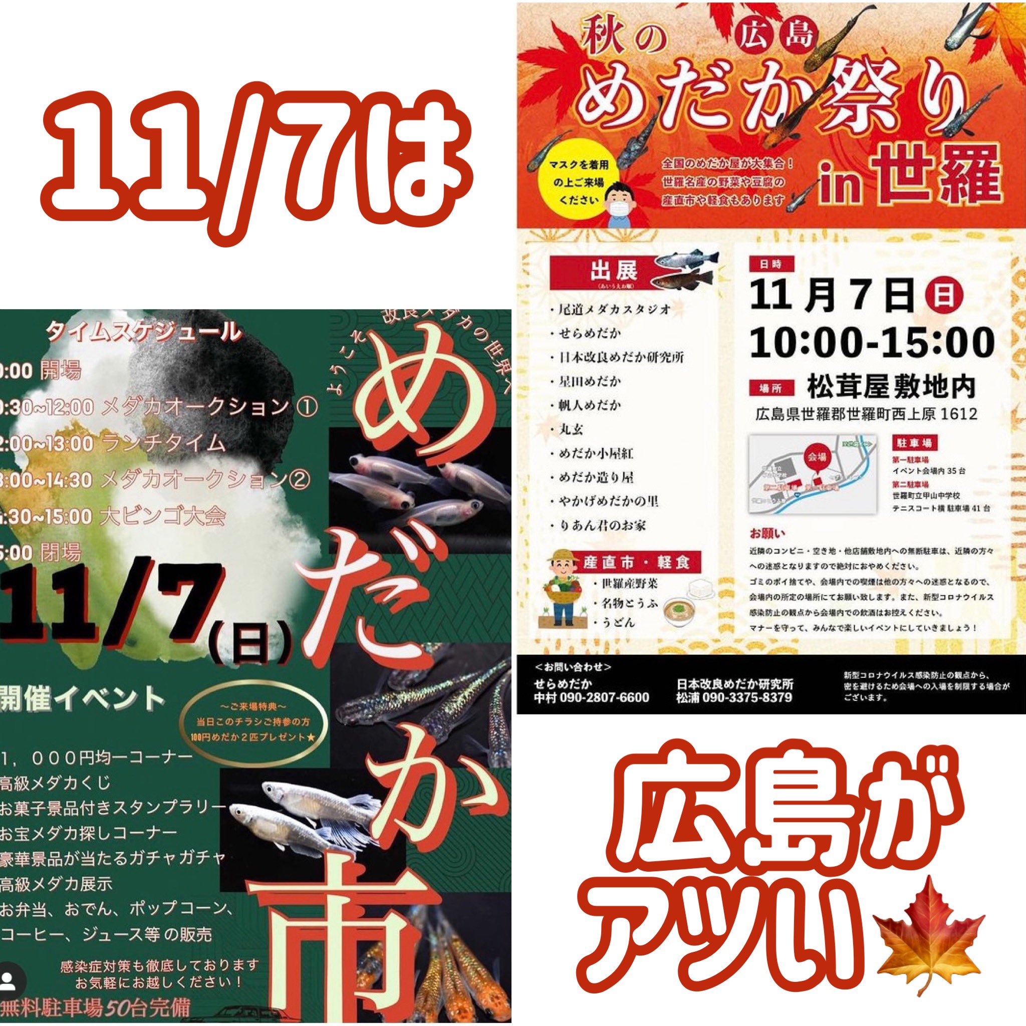 めだかの館 公式 4 1 新刊 100年メダカ22発売開始 V Twitter 11 7 日 の世羅メダカイベント行きたい 広島がアツい メダカイベント T Co Yhbltrflzb Twitter