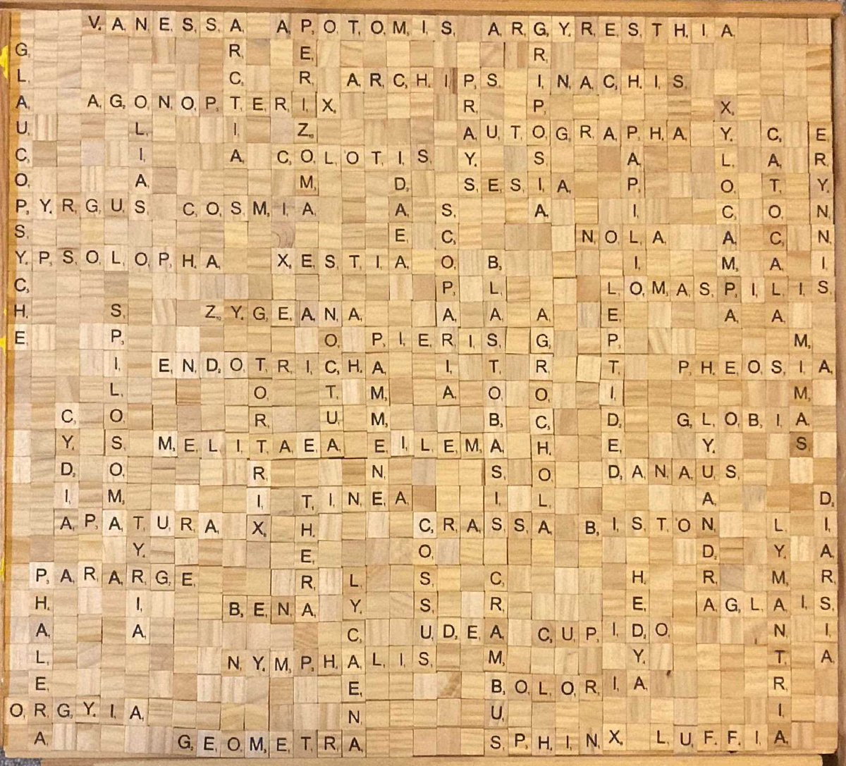 Blaxter Lab tweet media