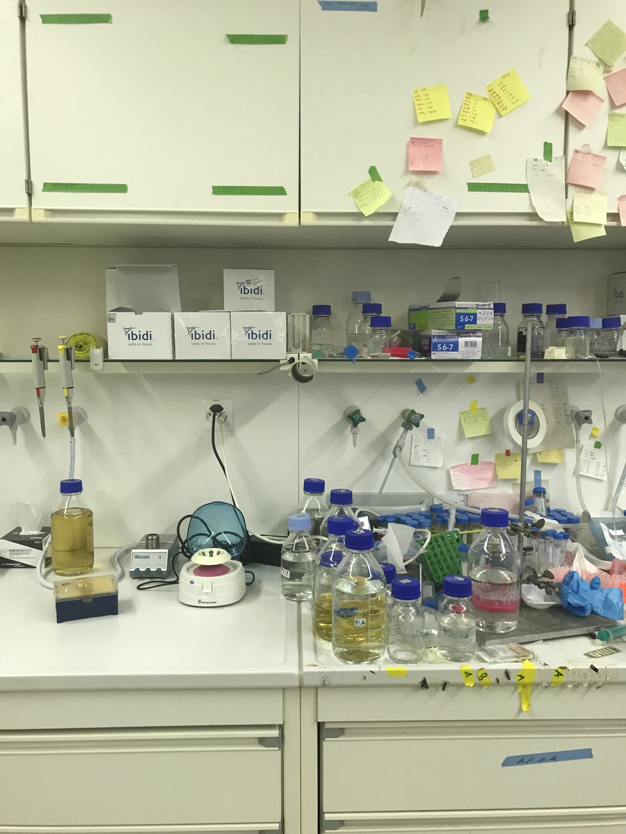 Starting PhD ...                                              ... ending PhD!