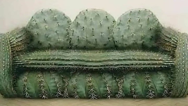 itsom09's tweet photo. Speacial sofa seat for the relatives who gonna bring soan papdi
#Diwali2021 https://t.co/fYVtcN1wNU