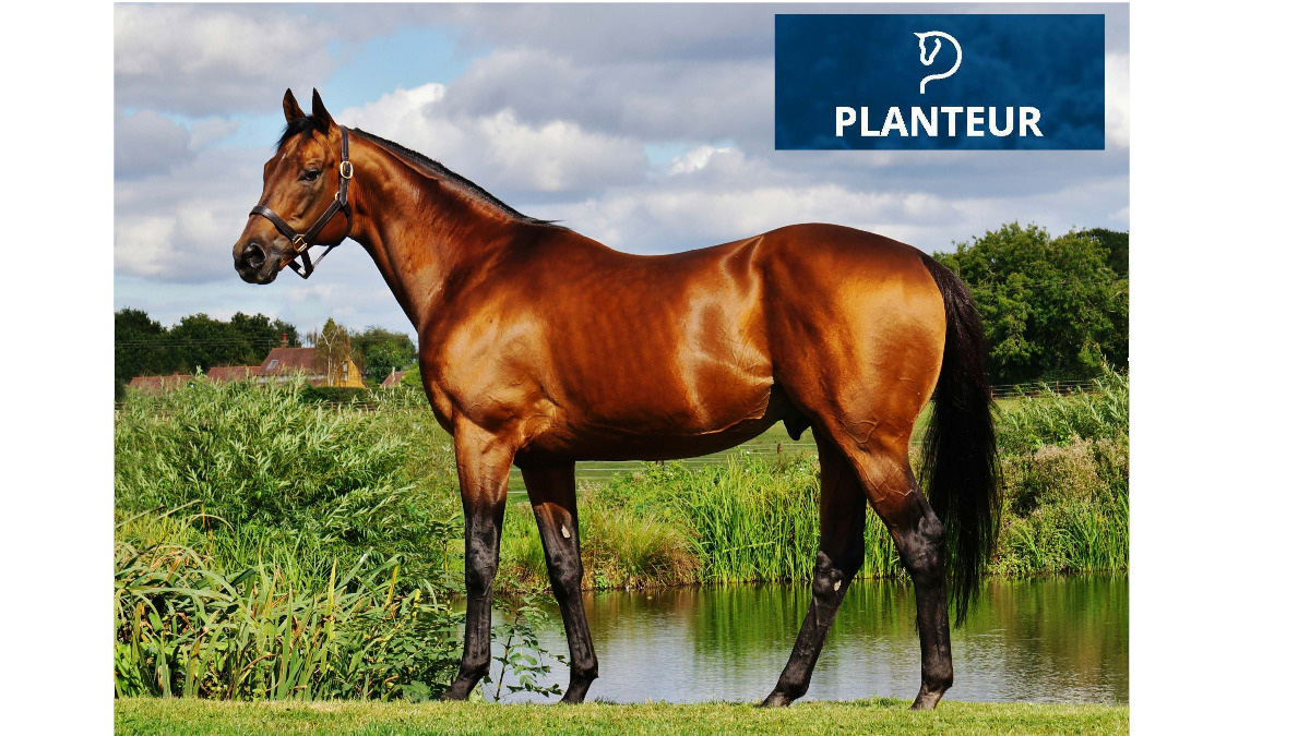 Planteur07's tweet photo. 🥇WINNER🥇

Milos wins the PRIX ETIENNE MAZOYER steeplechase @LyonHippodromes.

Congratulations to all her connections. https://t.co/TliLds2zRF