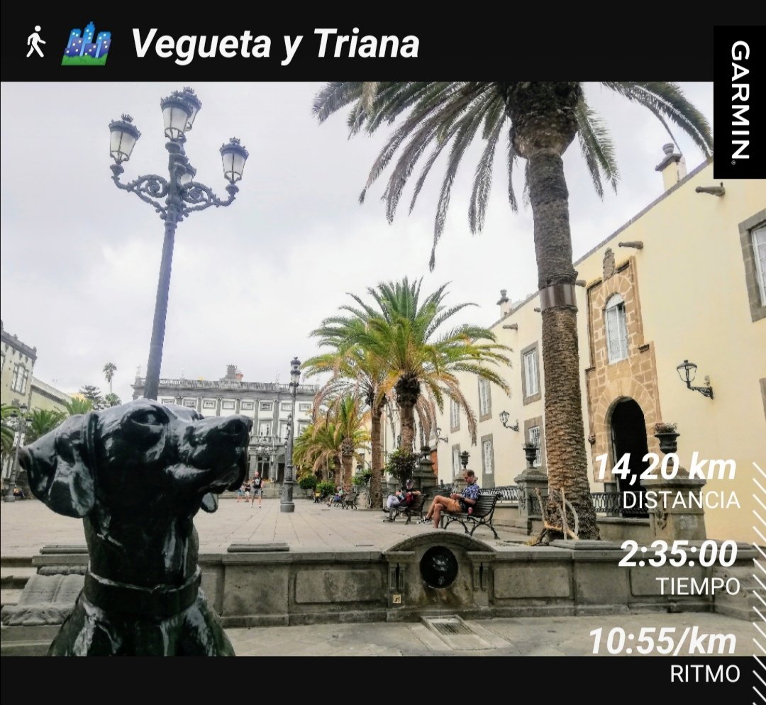 BiciGranCanaria's tweet photo. 🚶♂️🏙️
14 kms. de #Caminata a ritmo medio/alto por la Capital #VeguetaTriana
📸#Vegueta #PlazaDeSantaAna
🎧#WingsBand
🎤#BandOnTheRun
#LasPalmasDeGranCanaria
#GranCanaria
#DIABETESTIPOFREE
#MUÉVETEFRENTEALCÁNCER
#caminando #caminar
#walk #walking
#senderismo #hike #hiking
#garmin https://t.co/YQlXfTSiGA