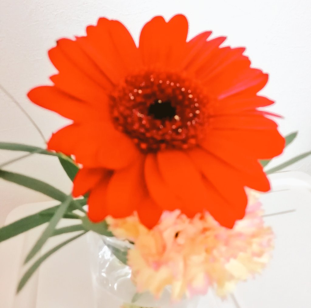 星屑れん Twitter Search Twitter