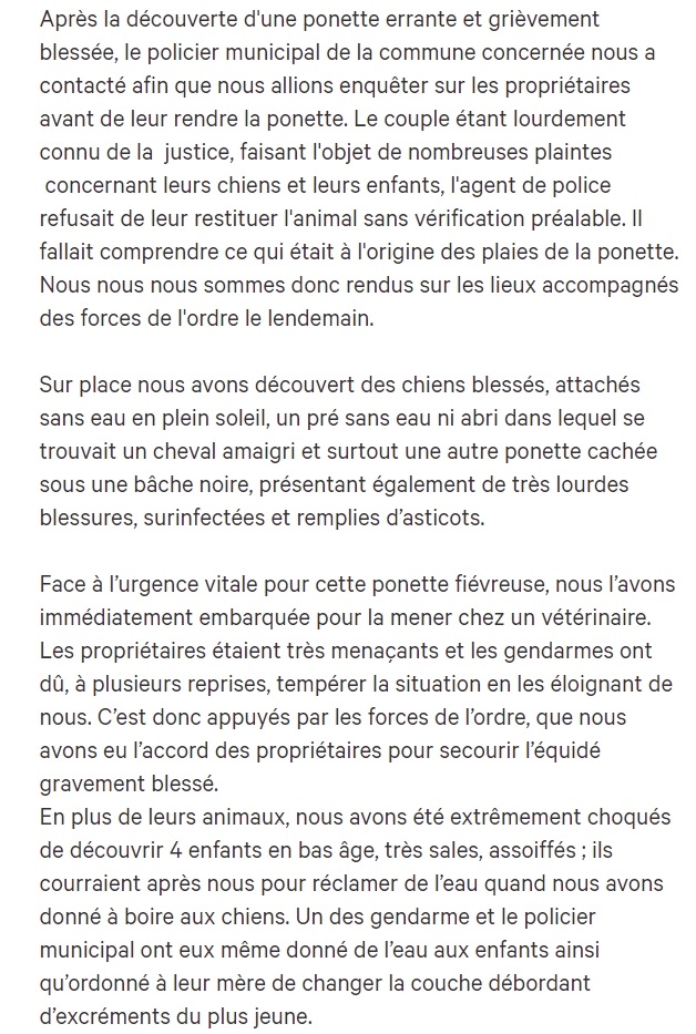 Missing Animaux 81 tweet media