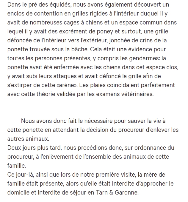 Missing Animaux 81 tweet media