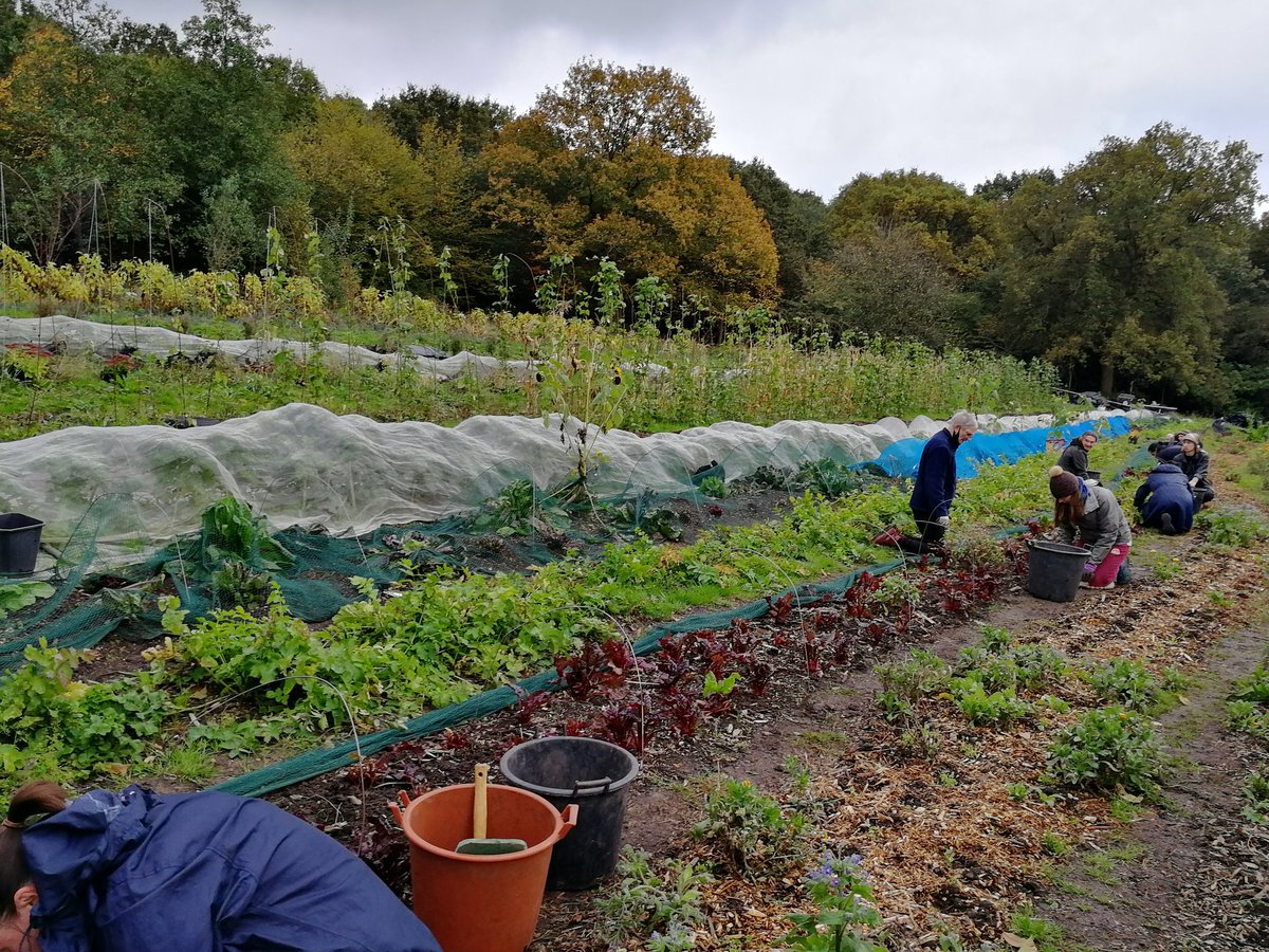 vickihird's tweet image. Now at the @organiclea fantastic site in Waltham forest #periurban #fringefarming - large site with major horticulture skills training going on as well as food growing.